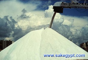 siwa Salt from Egypt